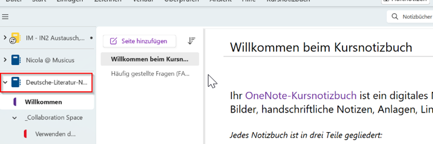 OneNote_Problem_024.jpeg